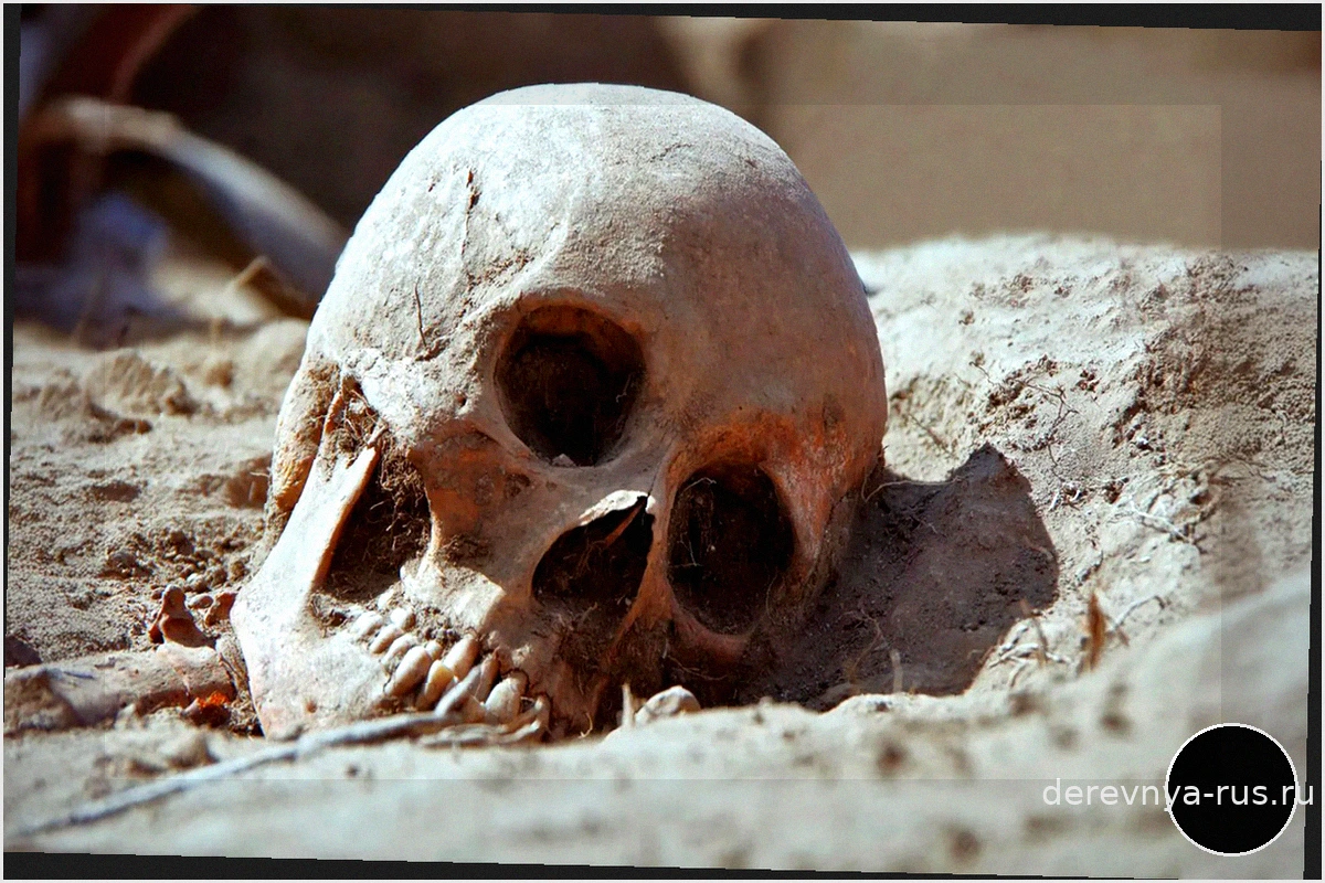 3500-летние скелеты ставят под сомнение представления ученых о сифилисе